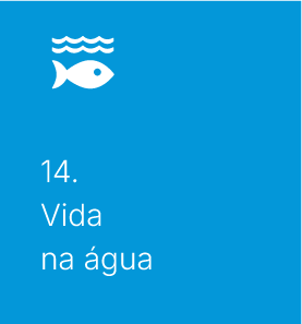 Vida na água