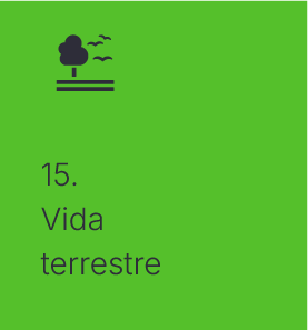 Vida terrestre